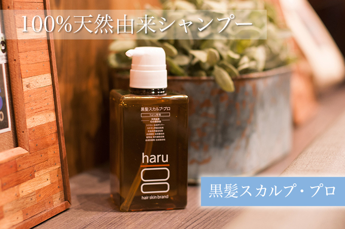 黒髪haru