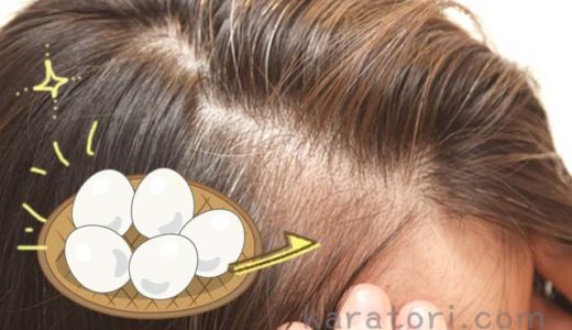 ゆで卵が髪を健康に？髪の悩みが改善できる卵の理想的な食べ方！